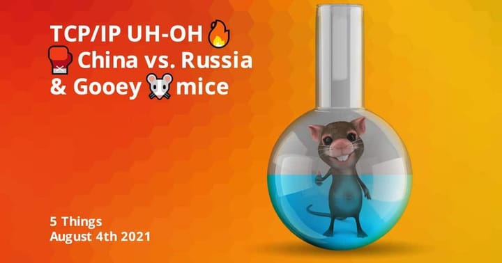 TCP/IP UH-OH🔥 China v. Russia🥊 & Gooey 🐭 mice